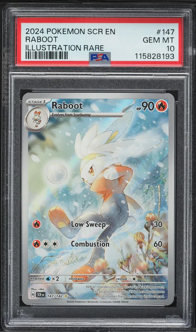 2024 #147 Raboot PSA 10 Scr EN-Stellar Crown Pokemon