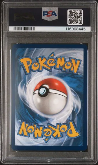 Zapdos ex #202, back of the slab