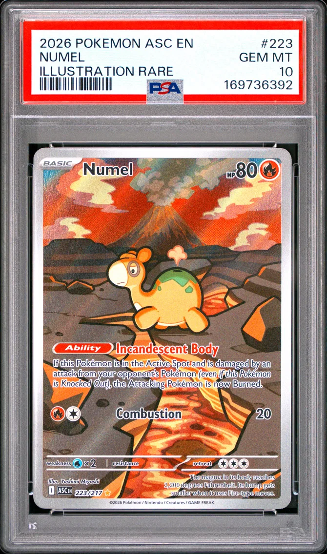 Numel #223, PSA 10 Gem Mint, front of the slab