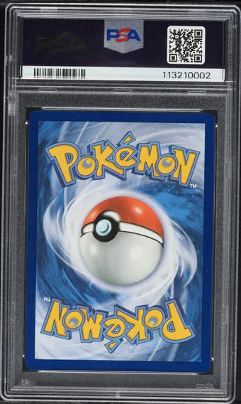 Yveltal #205, back of the slab