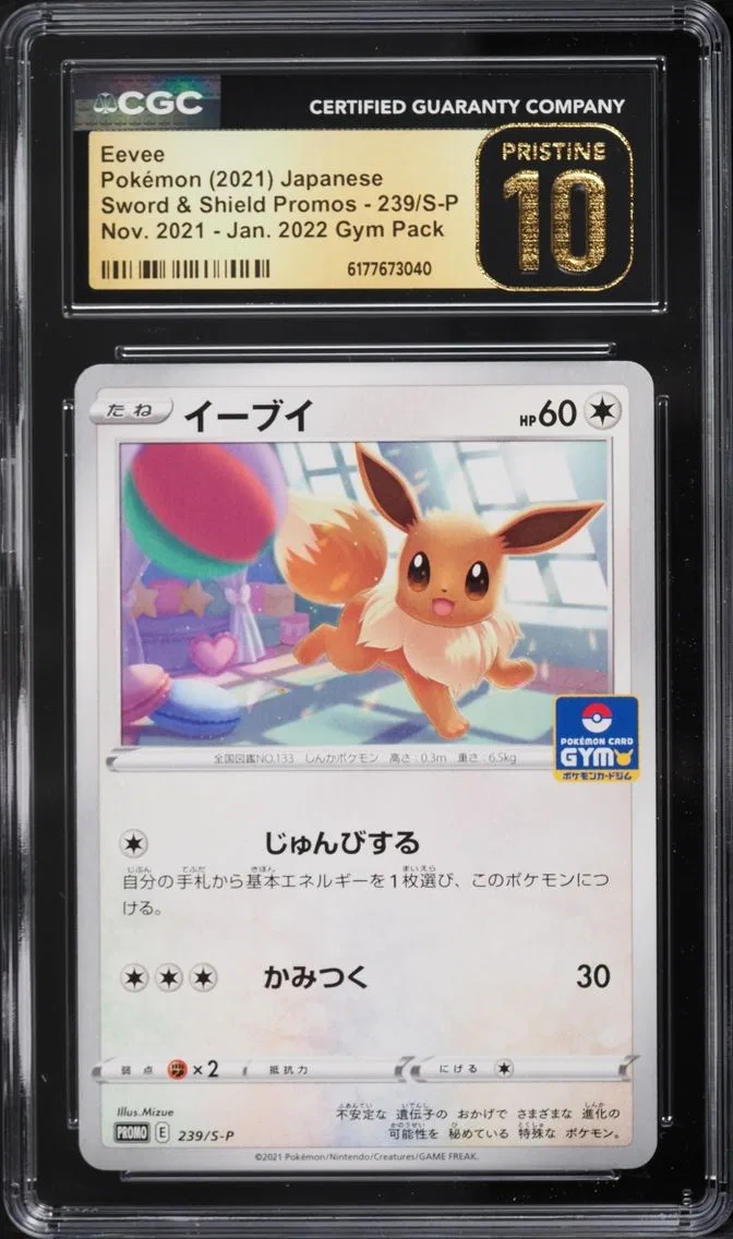 2021 Pokemon Japanese Sword & Shield Promo Gym Pack Eevee #239 CGC 10 PRISTINE
