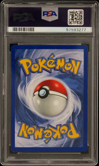 Charmeleon #24, back of the slab