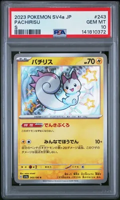 Pachirisu #243 PSA 10